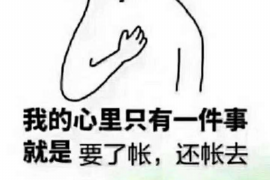 无为专业讨债公司有哪些核心服务？